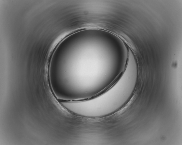 X0000090901196200708131346
