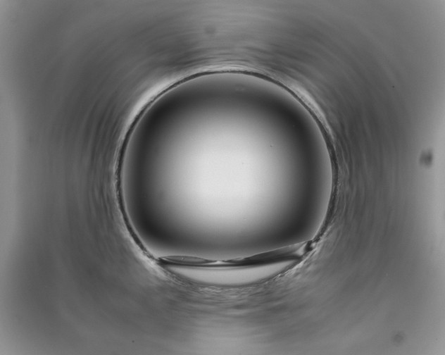 X0000090901197200708131346