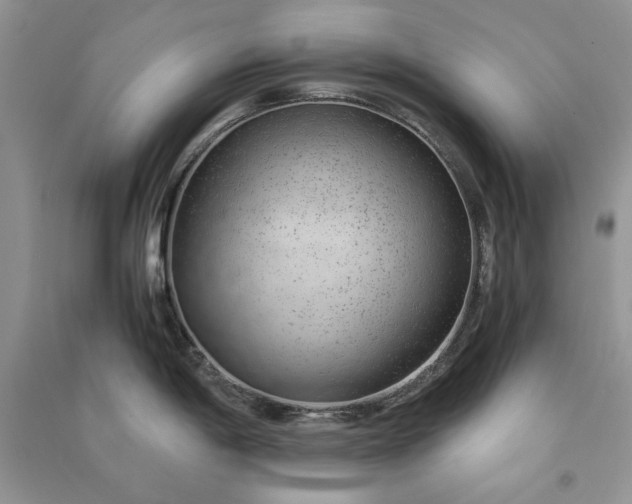 X0000090901198200708131346