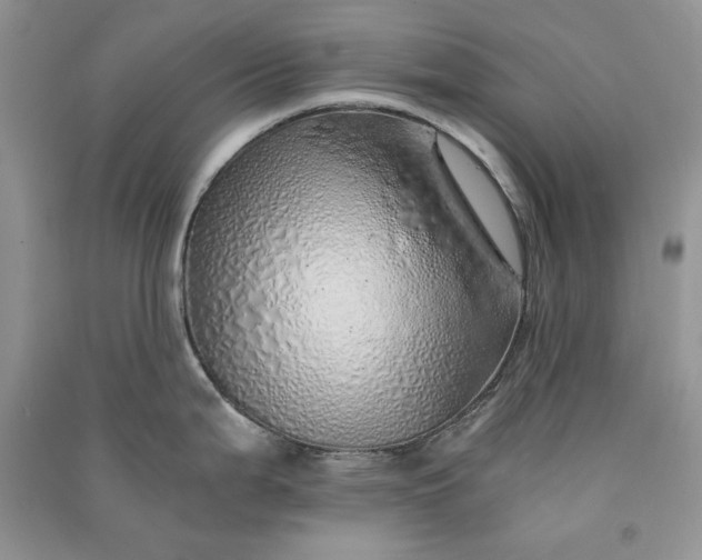X0000090901199200708131346