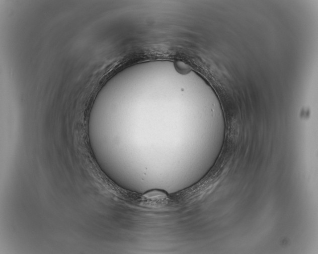 X0000090901201200708131345