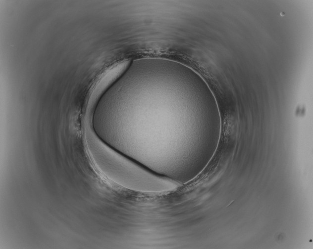 X0000090901202200708131345