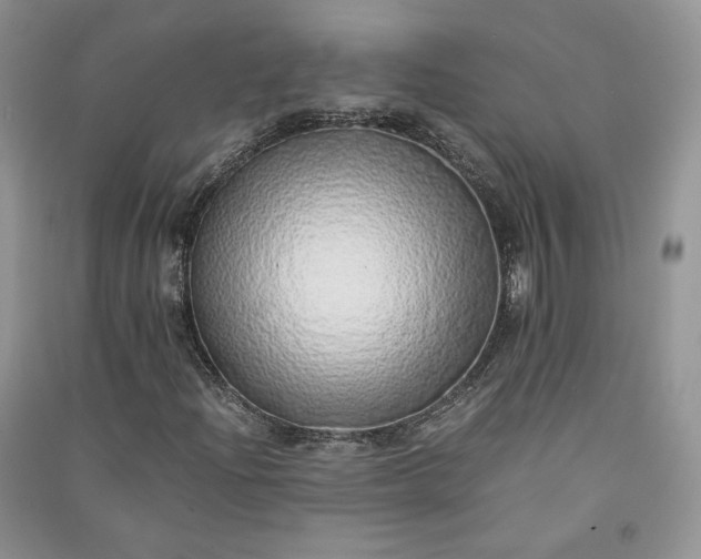 X0000090901204200708131345