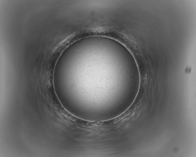 X0000090901205200708131345