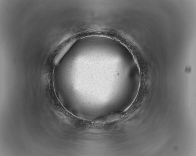 X0000090901206200708131345