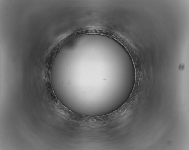 X0000090901207200708131345