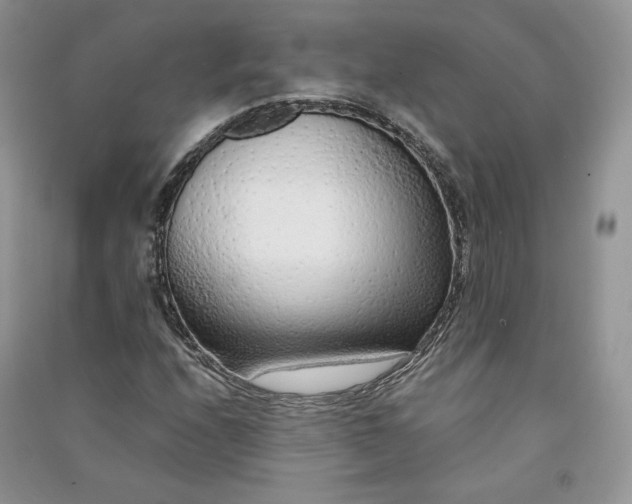 X0000090901208200708131345