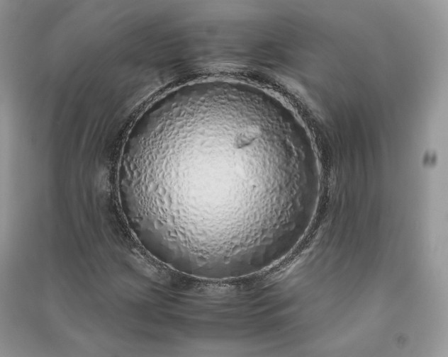 X0000090901209200708131345