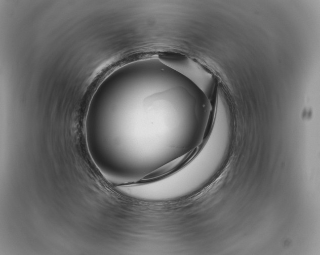 X0000090901210200708131345