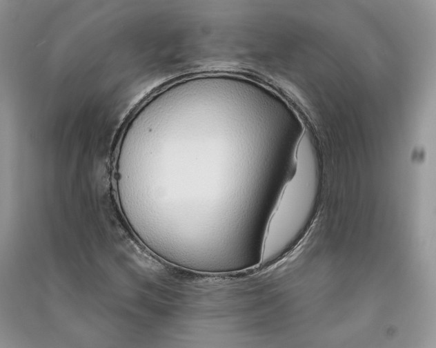 X0000090901212200708131345
