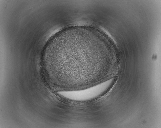 X0000090901213200708131345