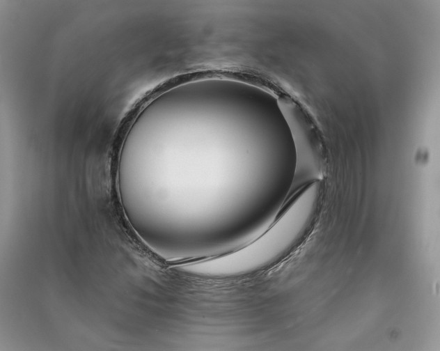 X0000090901214200708131345
