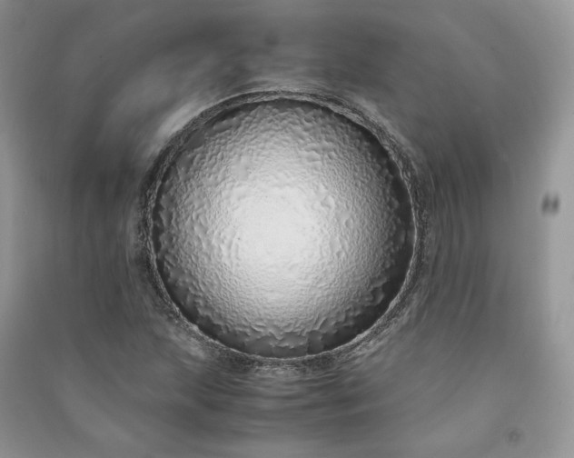 X0000090901215200708131345