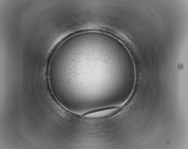 X0000090901216200708131345