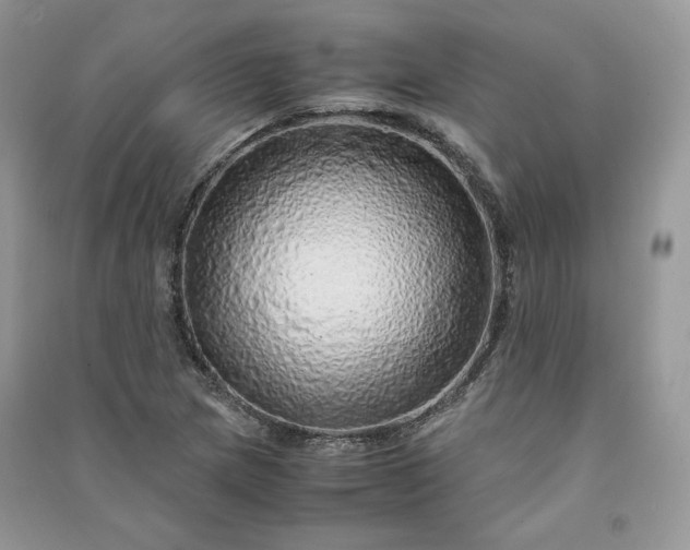 X0000090901217200708131345