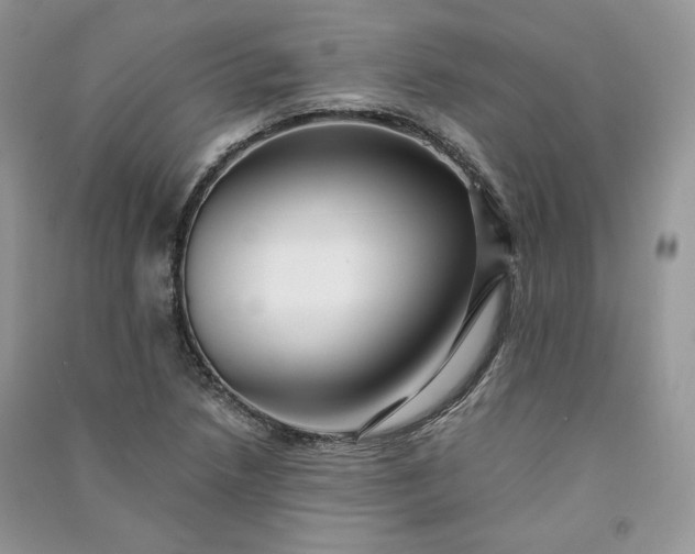 X0000090901218200708131345
