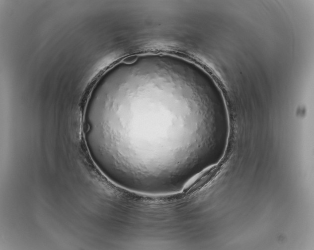 X0000090901219200708131345