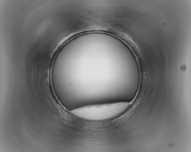 X0000090901220200708131345