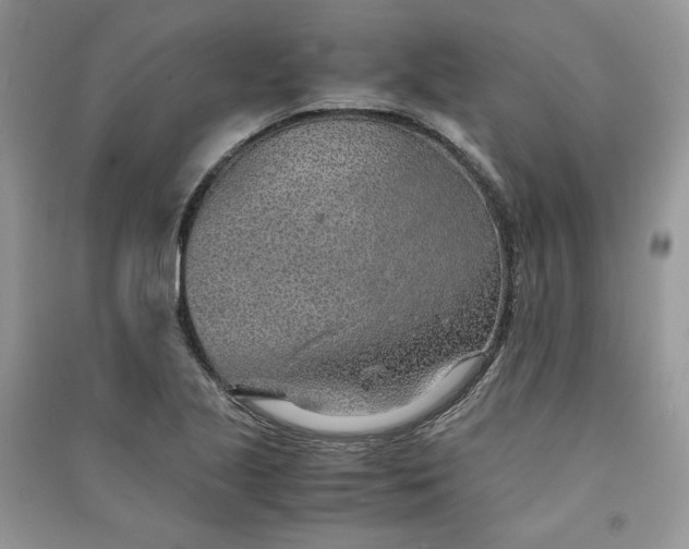 X0000090901221200708131345