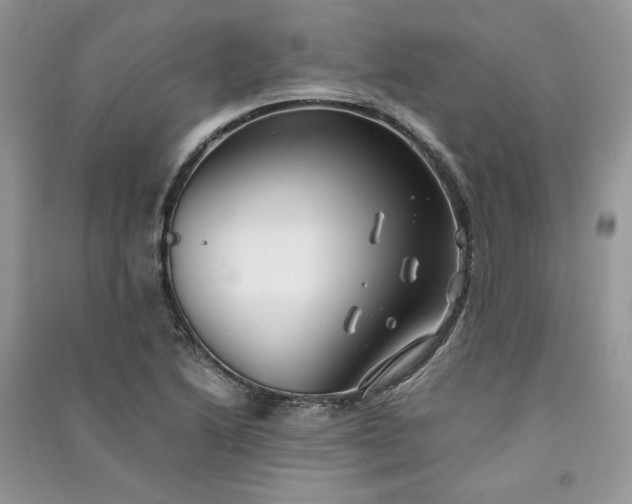 X0000090901222200708131345