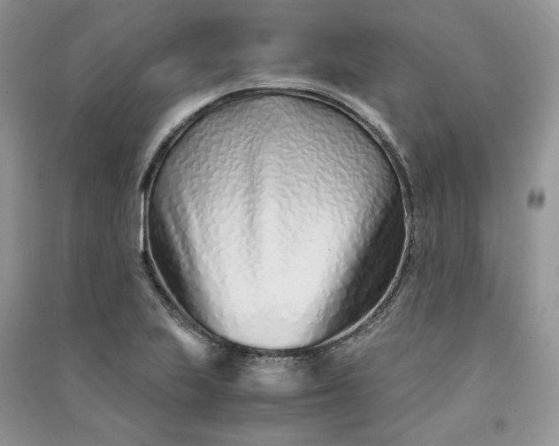 X0000090901223200708131345