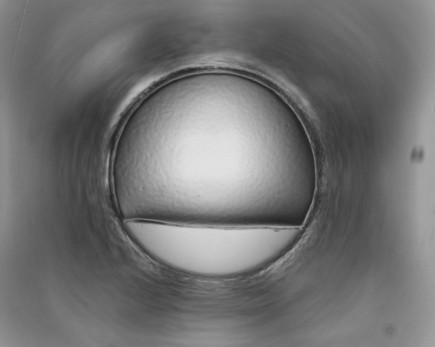 X0000090901224200708131345