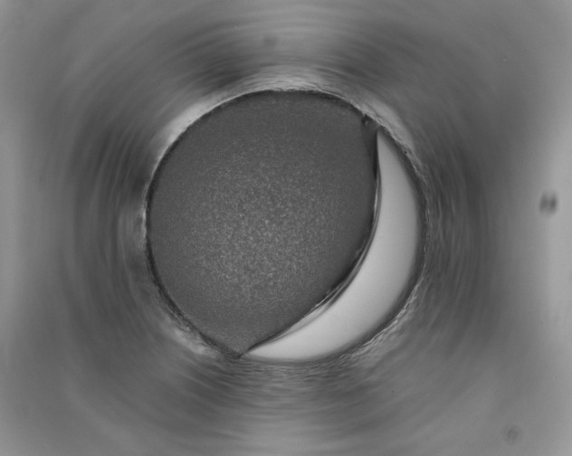 X0000090901226200708131345
