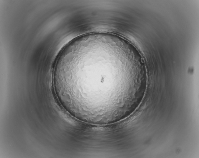 X0000090901227200708131345