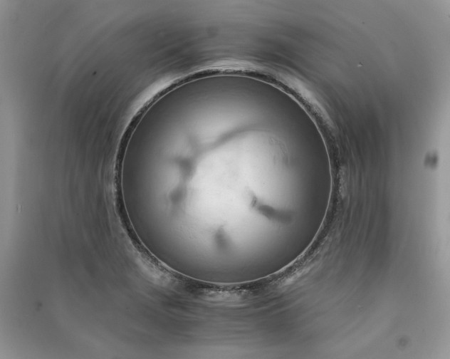 X0000090901229200708131346