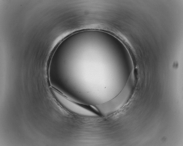X0000090901230200708131346