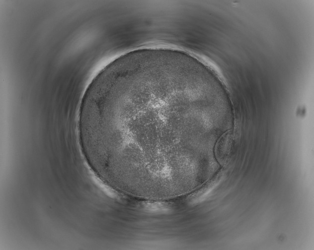 X0000090901231200708131346