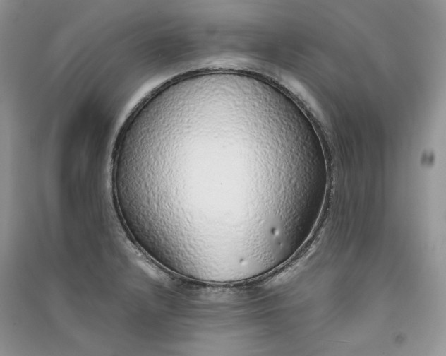 X0000090901232200708131346