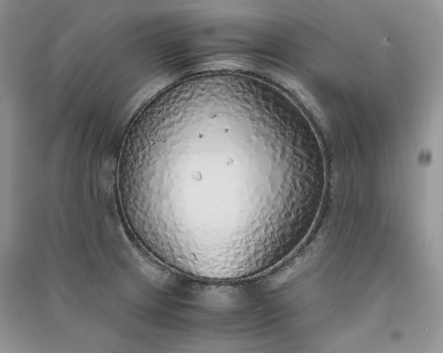 X0000090901233200708131346