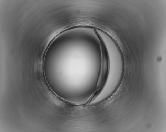 X0000090901234200708131346