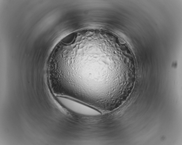 X0000090901235200708131346