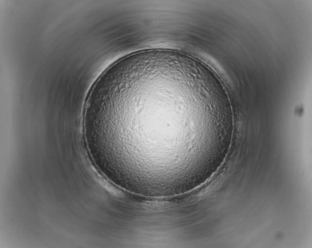 X0000090901236200708131346