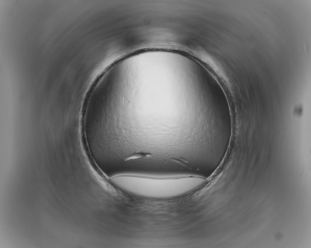 X0000090901237200708131346