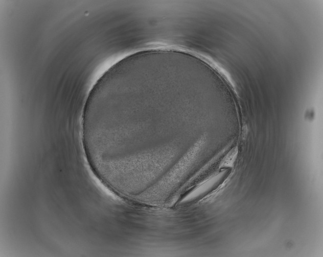 X0000090901239200708131346