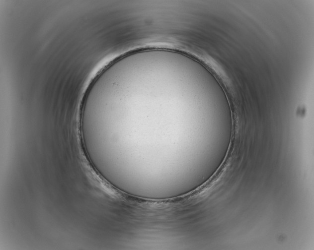X0000090901240200708131346