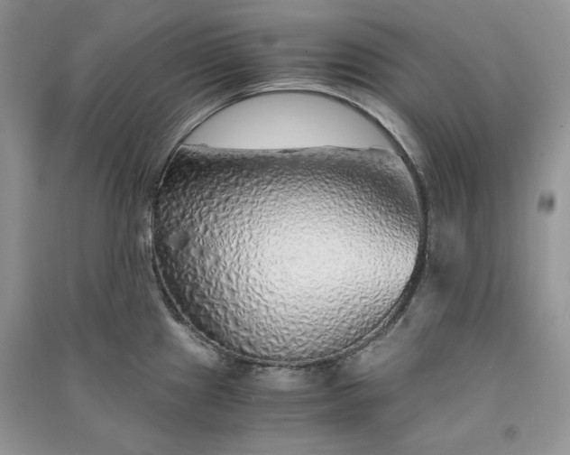 X0000090901241200708131346