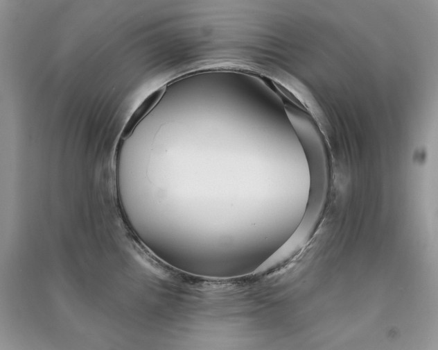 X0000090901242200708131346