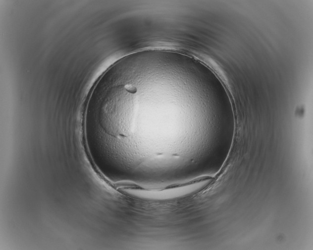 X0000090901243200708131346
