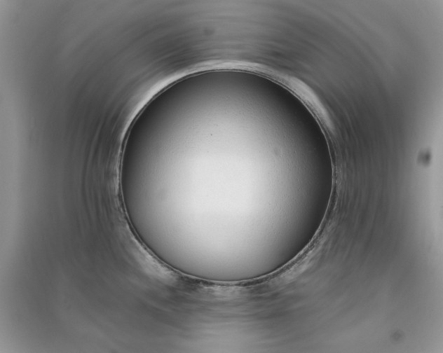 X0000090901244200708131346