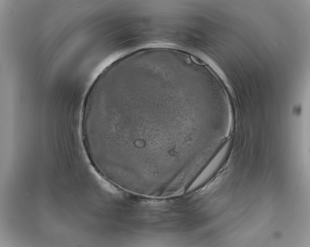X0000090901245200708131346