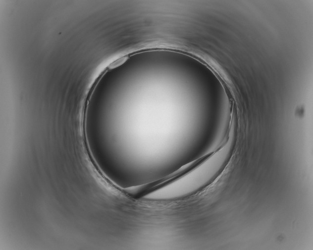 X0000090901246200708131346