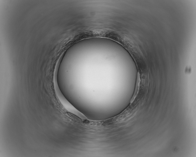 X0000090901249200708131345