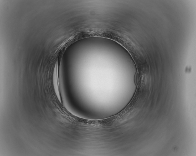 X0000090901250200708131345