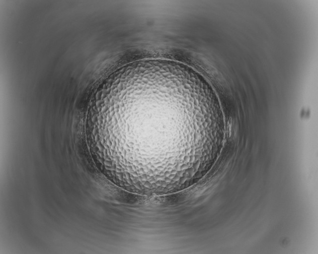 X0000090901251200708131345