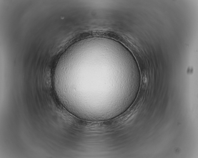 X0000090901252200708131345