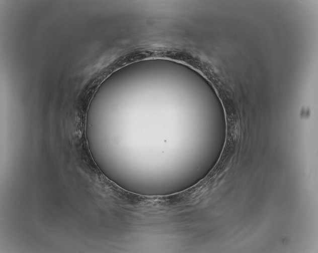 X0000090901253200708131345